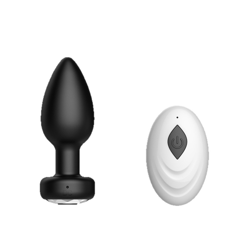 Outdoor Lighting Unit - Vibration light anal plug remote control