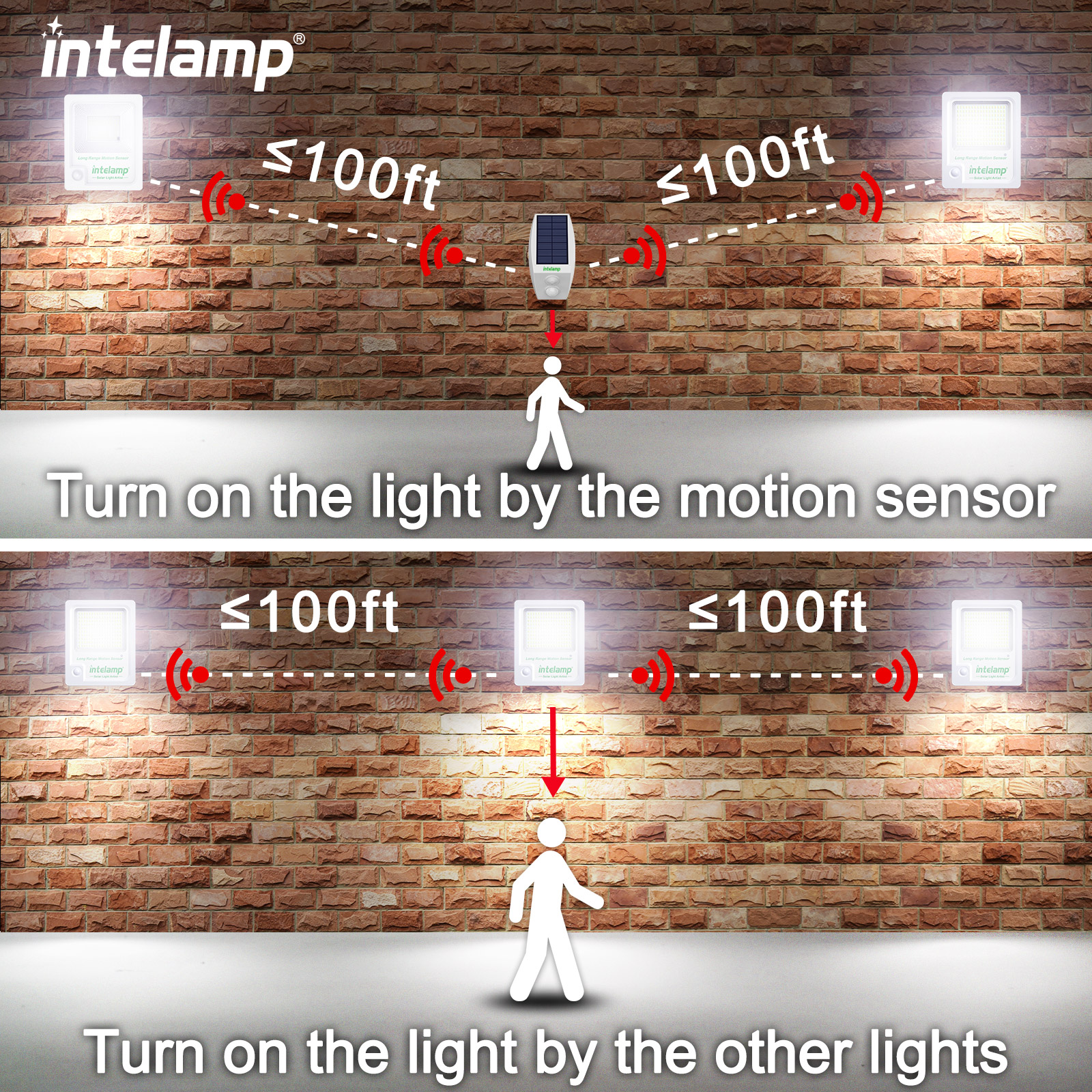 Solar Light Outdoor Motion Sen - Dusk To Dawn Bulb recensione e prezzo
