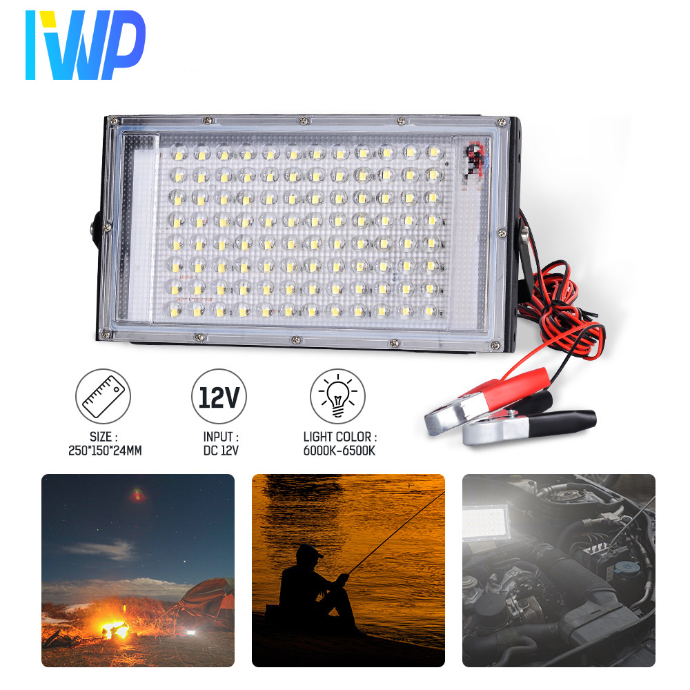 DC12V LED Flood Light 50W 100W - Outdoor Lighting Volt recensione e prezzo