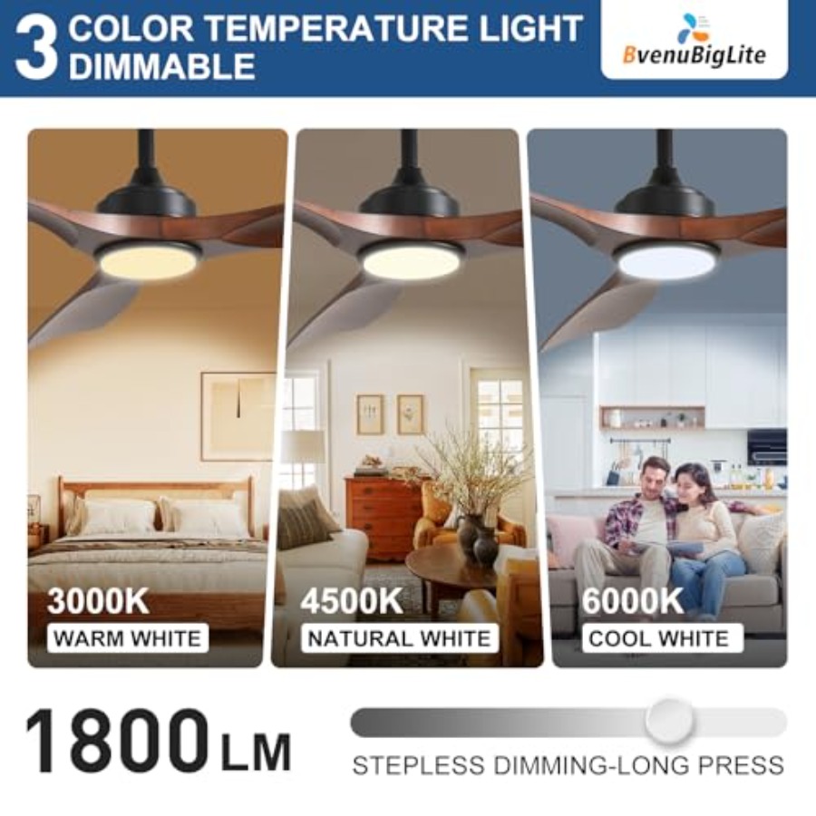 Outdoor ceiling fan with light - Outdoor Lighting Remote Control recensione e prezzo