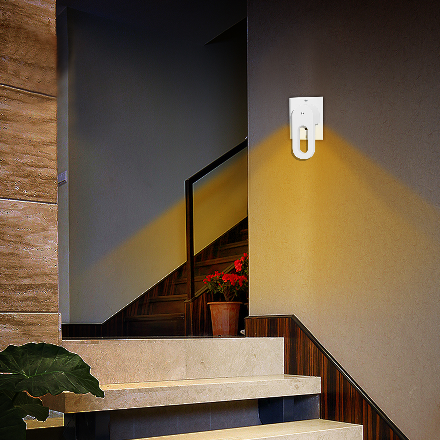 LED Night Light, Wall Lights p - Dusk To Dawn Bulb recensione e prezzo