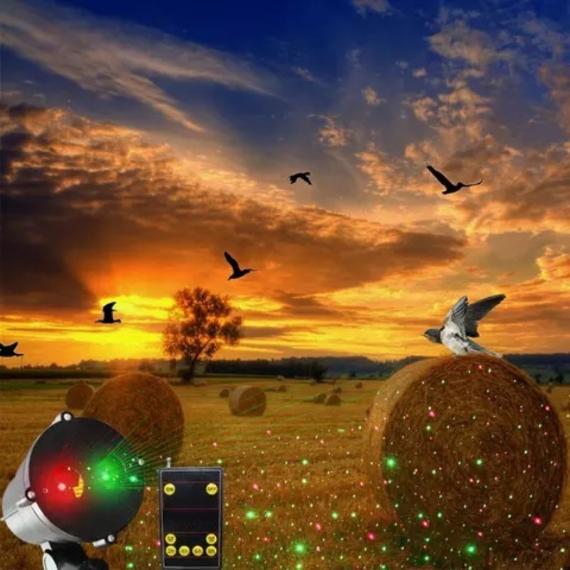 Motion   Bird Repeller with    - Outdoor Lighting Remote Control recensione e prezzo