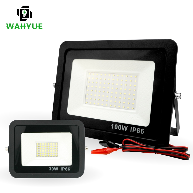 20W 30W 50W 100W DC12V Led Flo - Outdoor Lighting Volt recensione e prezzo