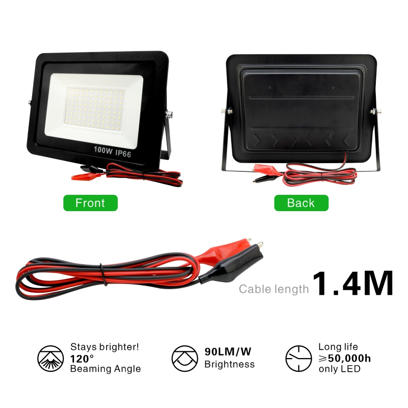 20W 30W 50W 100W DC12V Led Flo - Outdoor Lighting Volt recensione e prezzo