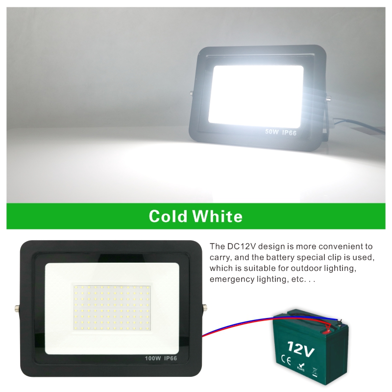 20W 30W 50W 100W DC12V Led Flo - Outdoor Lighting Volt recensione e prezzo